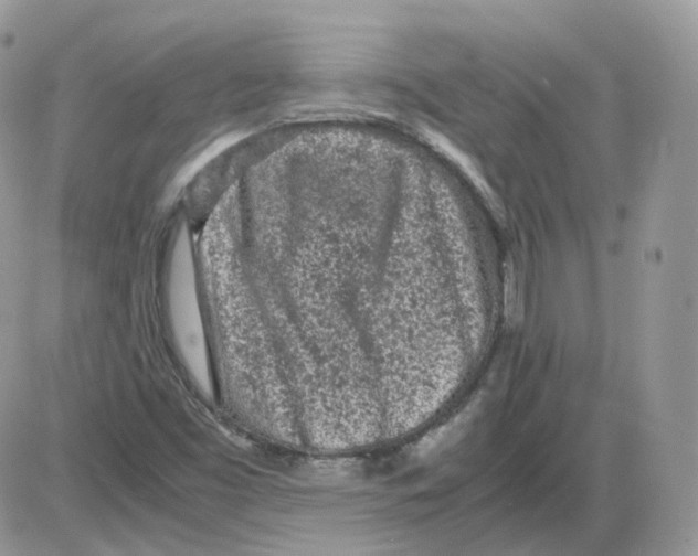 X0000086031453200704201934