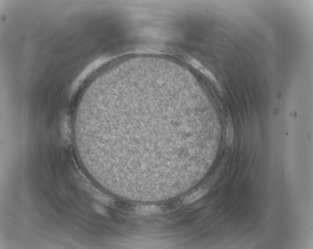 X0000086031454200704201934