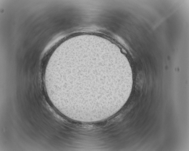 X0000086031456200704201934