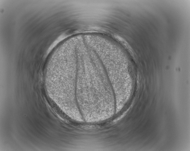 X0000086031457200704201934