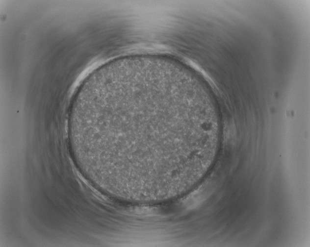 X0000086031459200704201934