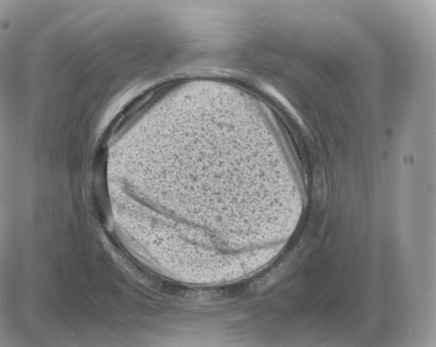 X0000086031461200704201934