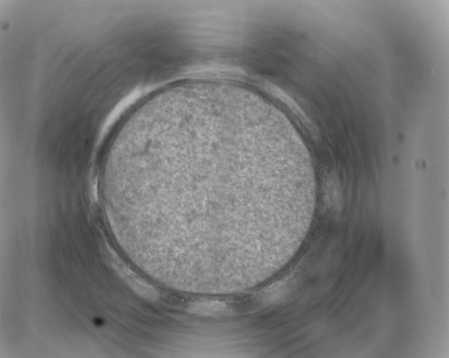 X0000086031462200704201934