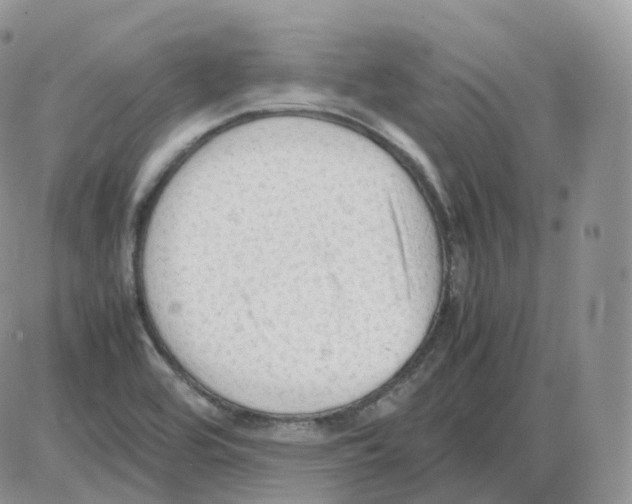 X0000086031464200704201934