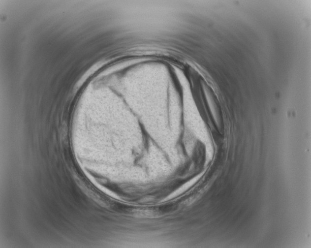 X0000086031465200704201934