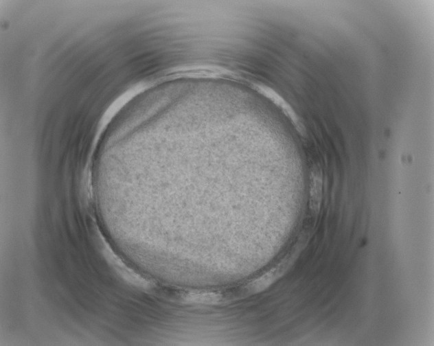 X0000086031466200704201934