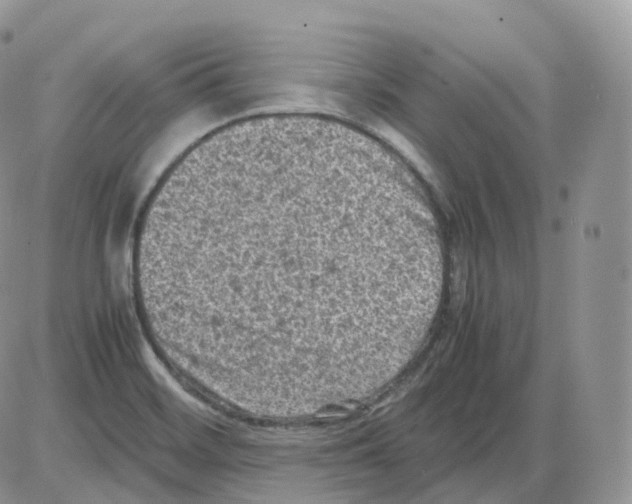 X0000086031468200704201934