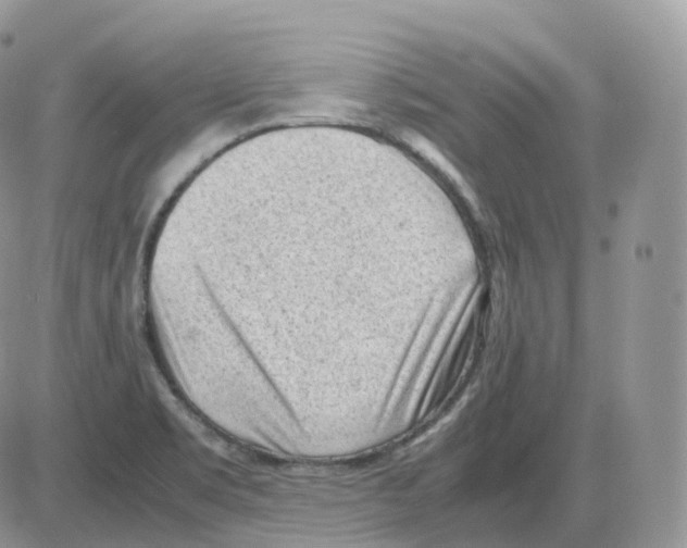 X0000086031469200704201934