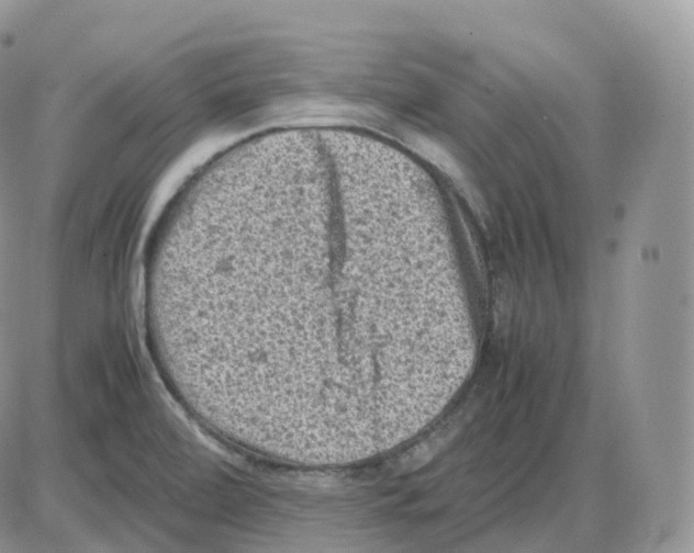 X0000086031472200704201934