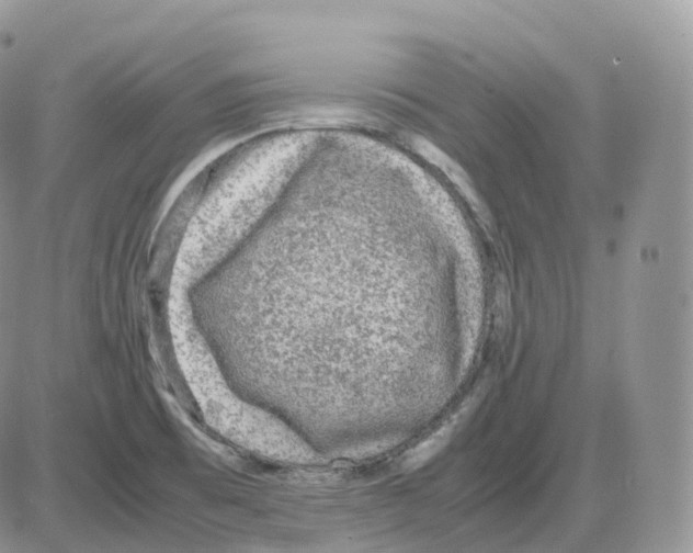 X0000086031473200704201934