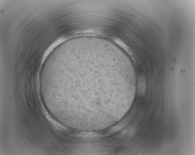 X0000086031474200704201934