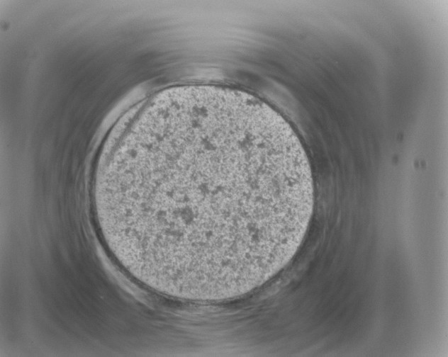 X0000086031475200704201934