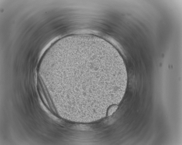 X0000086031476200704201934