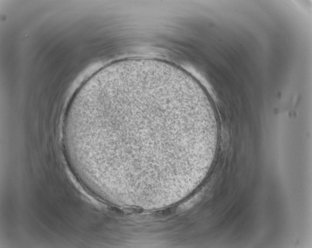 X0000086031477200704201934