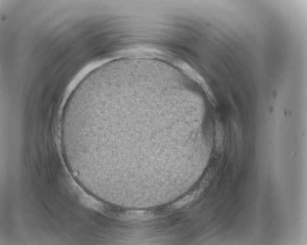 X0000086031478200704201934