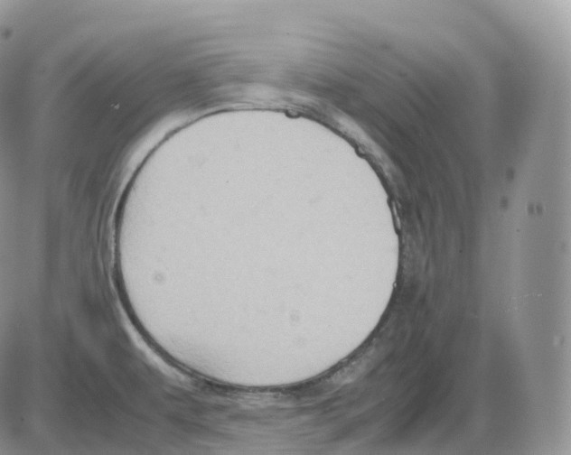 X0000086031479200704201934