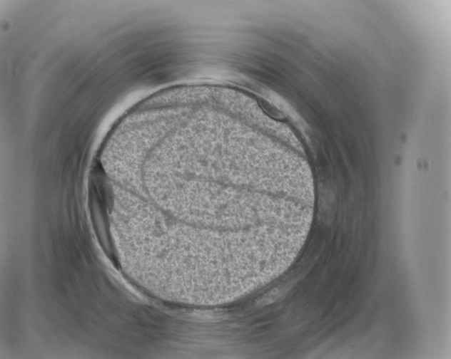 X0000086031480200704201934