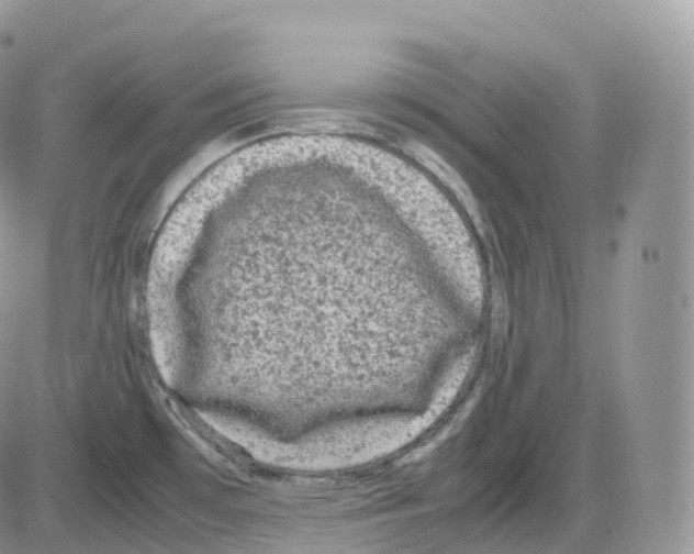 X0000086031481200704201934