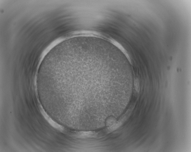 X0000086031482200704201934