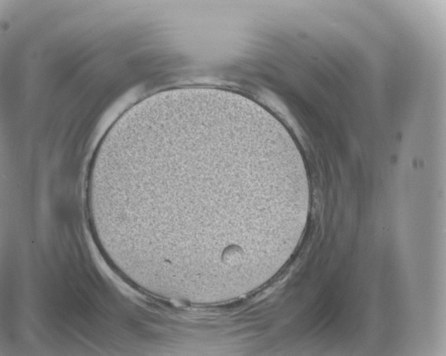 X0000086031483200704201934