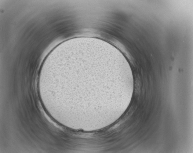 X0000086031484200704201934