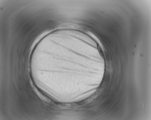 X0000086031485200704201934