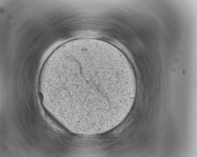 X0000086031488200704201934