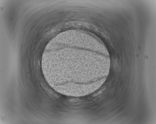 X0000086031489200704201933