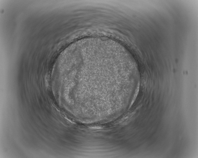 X0000086031490200704201933