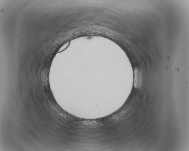 X0000086031491200704201933