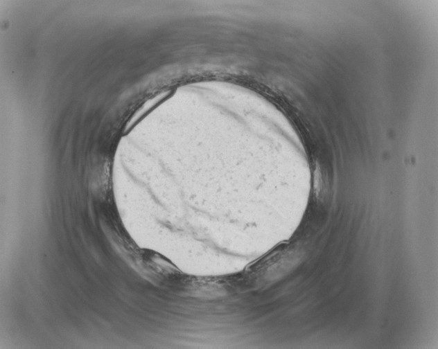 X0000086031492200704201933