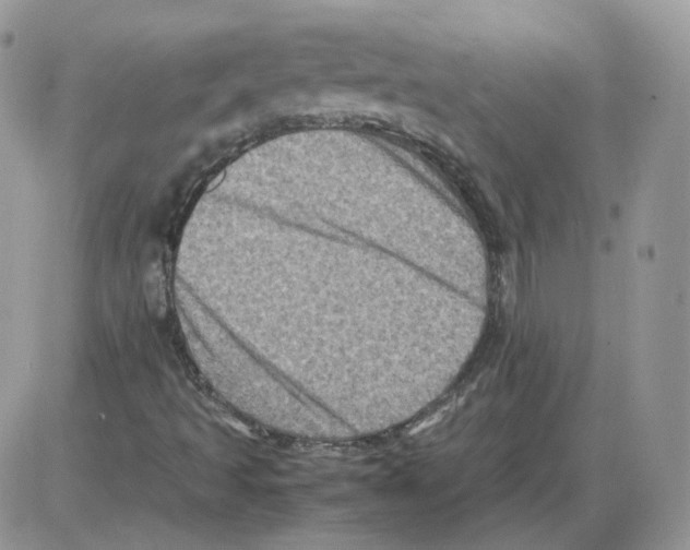 X0000086031493200704201933