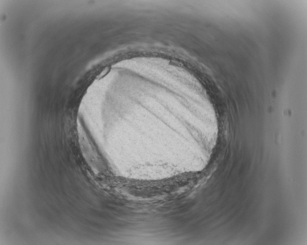 X0000086031494200704201933