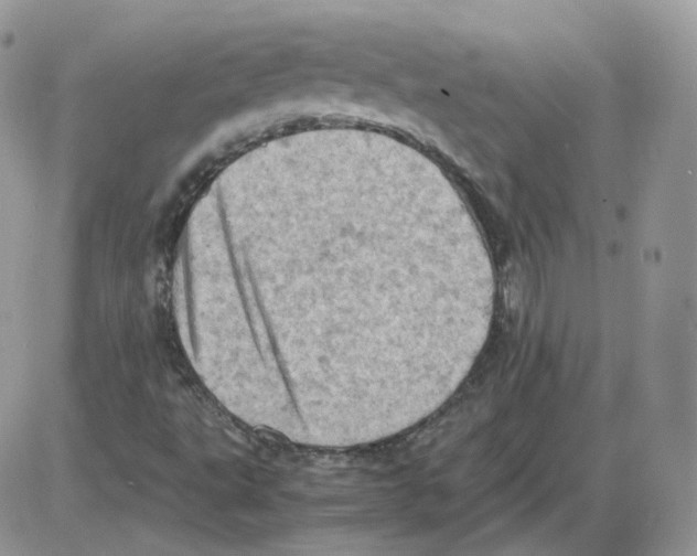 X0000086031495200704201933