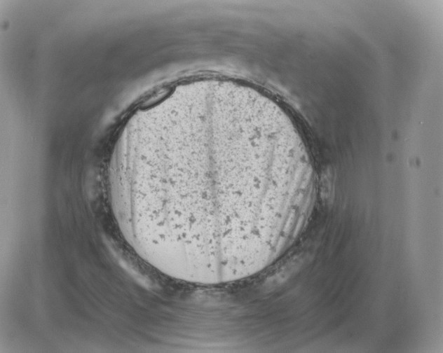 X0000086031496200704201933