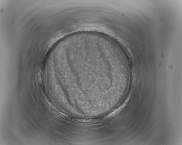 X0000086031497200704201933