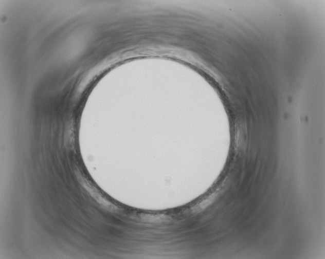 X0000086031498200704201933