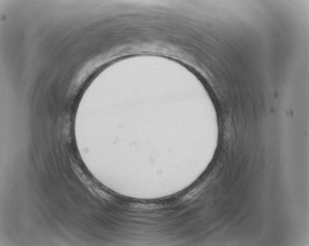 X0000086031499200704201933