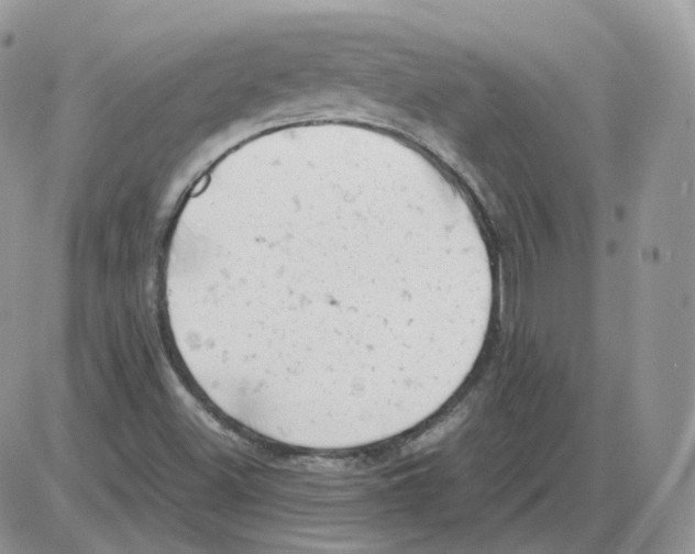 X0000086031500200704201933