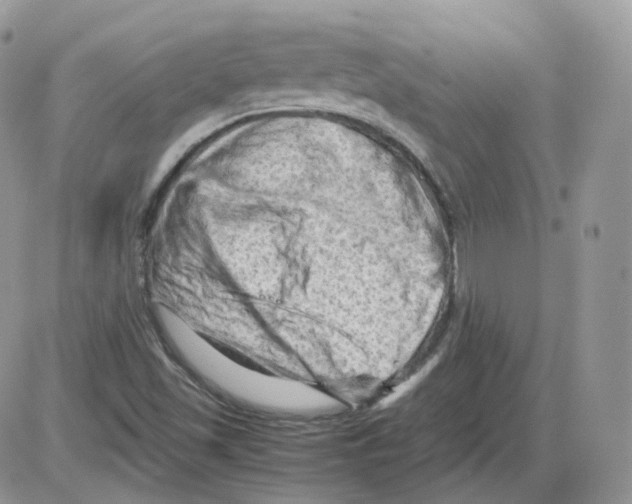 X0000086031501200704201933