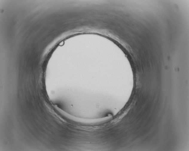 X0000086031502200704201933