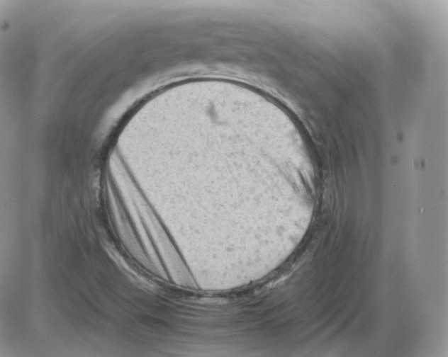 X0000086031503200704201933