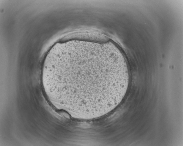 X0000086031504200704201933