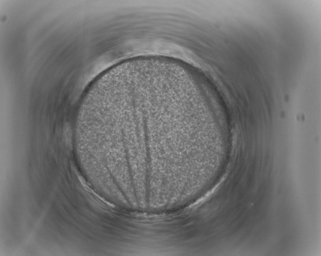 X0000086031505200704201933