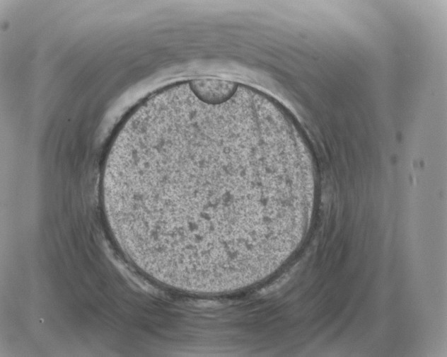 X0000086031507200704201933