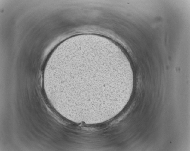 X0000086031509200704201933