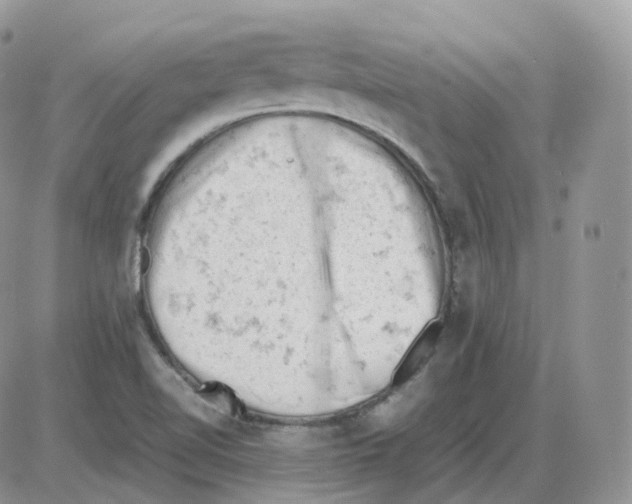 X0000086031510200704201933