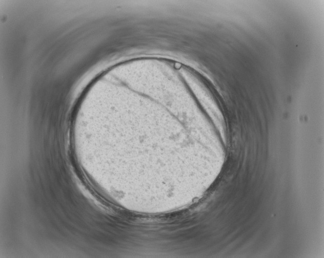 X0000086031511200704201933