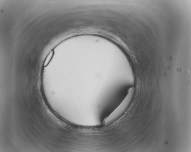 X0000086031512200704201933