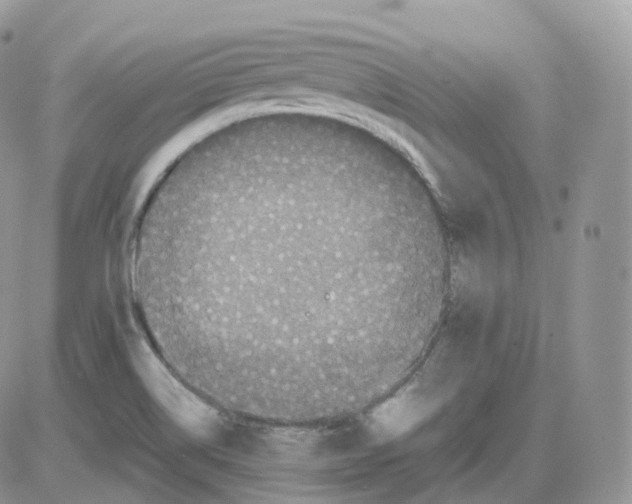 X0000086031514200704201933